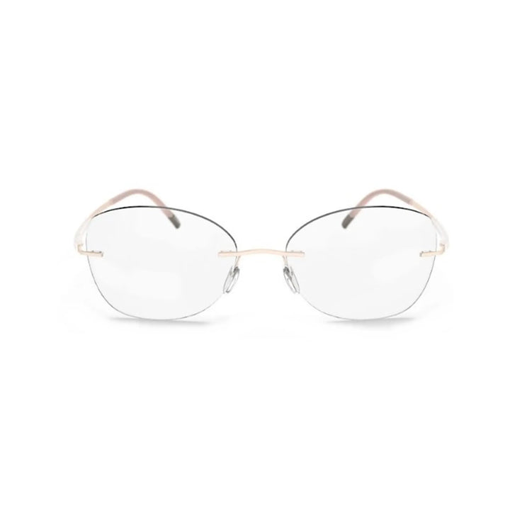 Silhouette Dynamic Contour