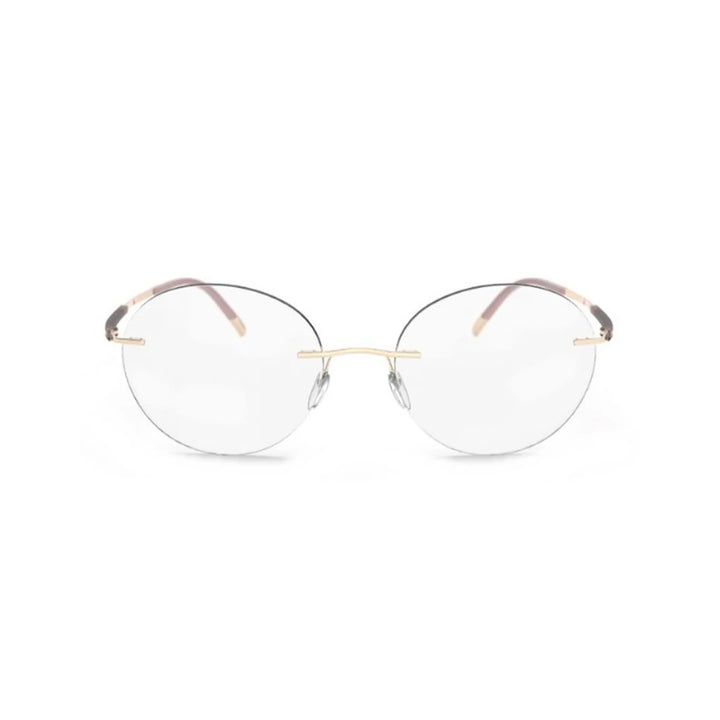 Silhouette Dynamic Contour