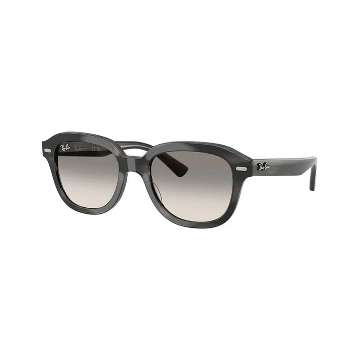 Ray Ban Erik